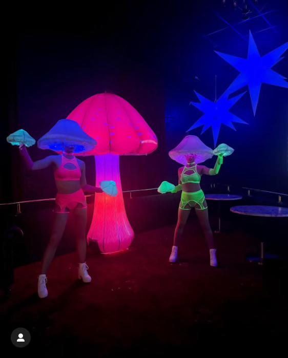 WhatsApp Image 2025-02-05 at 6.23.35 PM (2)